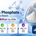 Calcium Phosphate Market Size to Reach USD 1.73 Billion by 2036, Driven by Leavening Demand