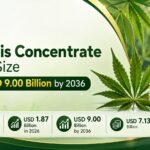 Cannabis Concentrate Market Size to Reach USD 9.00 Billion by 2036, Driven by Vape Hardware Standardization 3 Cannabis Concentrate Market Size to Reach USD 9.00 Billion by 2036, Driven by Vape Hardware Standardization