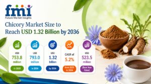 Chicory Market Size to Reach USD 1.32 Billion by 2036, Driven by Prebiotic Inulin Demand 1 Chicory Market Size to Reach USD 1.32 Billion by 2036, Driven by Prebiotic Inulin Demand