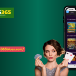 What Is Lotus365 Complete Guide for New Users 1