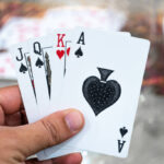 istockphoto 2191564183 612x612 1