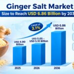 Ginger Salt Market