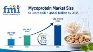 Mycoprotein Market Size to Reach USD 1,458.0 Million by 2036, Driven by Minced Formats 1 Mycoprotein Market Size to Reach USD 1,458.0 Million by 2036, Driven by Minced Formats