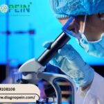 Vitamin B12 Blood Test in Pune | Comprehensive B12 Level Testing