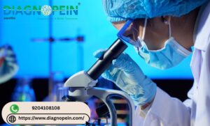 Vitamin B12 Blood Test in Pune | Comprehensive B12 Level Testing 1 Vitamin B12 Blood Test in Pune | Comprehensive B12 Level Testing