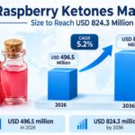 Raspberry Ketones Market Size to Reach USD 824.3 Million by 2036, Driven by Synthetic Formulations
