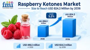 Raspberry Ketones Market Size to Reach USD 824.3 Million by 2036, Driven by Synthetic Formulations 1 Raspberry Ketones Market Size to Reach USD 824.3 Million by 2036, Driven by Synthetic Formulations