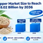 White Pepper Market Size to Reach USD 8.02 Billion by 2036, Driven by Organic Certification 3 White Pepper Market Size to Reach USD 8.02 Billion by 2036, Driven by Organic Certification