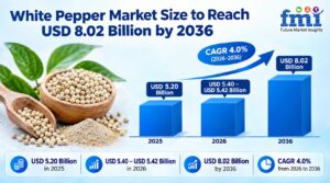 White Pepper Market Size to Reach USD 8.02 Billion by 2036, Driven by Organic Certification 1 White Pepper Market Size to Reach USD 8.02 Billion by 2036, Driven by Organic Certification