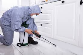Flea Control Barrhaven: Simple Ways to Keep Your Home Flea-Free 1 Flea Control Barrhaven: Simple Ways to Keep Your Home Flea-Free
