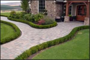 The Hidden Work Behind a Long-Lasting Asphalt Driveway 1 The Hidden Work Behind a Long-Lasting Asphalt Driveway