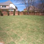 Best Sod Installation Services: Choosing the Right Option in Fort Worth 2 Best Sod Installation Services: Choosing the Right Option in Fort Worth