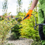 Biofungicides