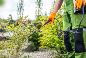 How Biofungicides Are Strengthening Sustainable Crop Protection Across Europe 1 How Biofungicides Are Strengthening Sustainable Crop Protection Across Europe