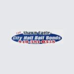 Cityhallbailbonds Logo 1
