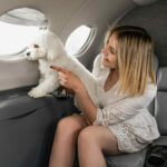 Private Jet Charter With Pets