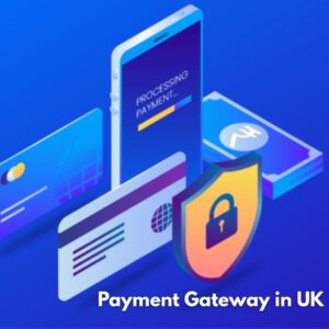 Affordable Digital Payment Strategies for Independent Professionals 1 Affordable Digital Payment Strategies for Independent Professionals