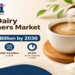 Non Dairy Creamers Market