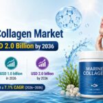 Marine Collagen Market