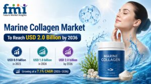 Marine collagen market reaches USD 1.0 billion in 2026 and is projected to grow at 7.1% CAGR through 2036