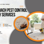 Mosquito pest control 6