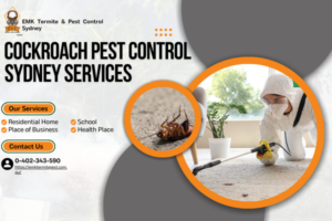 Why Sydney’s Climate Creates Ideal Conditions for Cockroach Infestations
