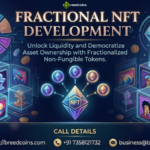 Fractional NFT Development