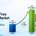 Gluten Free Bagels Market
