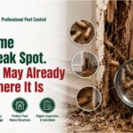 Your Home Has a Weak Spot. Termites May Already Know Where It Is 3 Your Home Has a Weak Spot. Termites May Already Know Where It Is