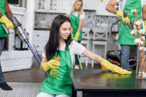 Cleaner Greenwich: A Guide to Keeping Your Home Fresh and Spotless 1 Cleaner Greenwich: A Guide to Keeping Your Home Fresh and Spotless