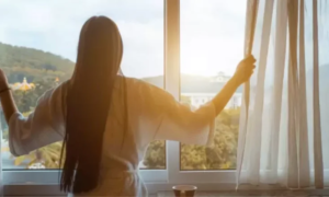 X-Select Series Window Film 1 X-Select Series Window Film