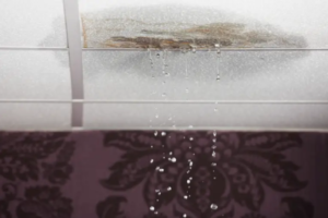 Expert Solutions for Property Water Leakage Management