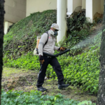 Effective Strategies for Reliable Pest Control in Singapore