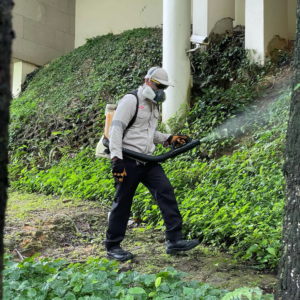 Effective Strategies for Reliable Pest Control in Singapore 1 Effective Strategies for Reliable Pest Control in Singapore