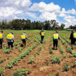 What farmate knapsack sprayer offers for better pesticide application and weed control 3 What farmate knapsack sprayer offers for better pesticide application and weed control