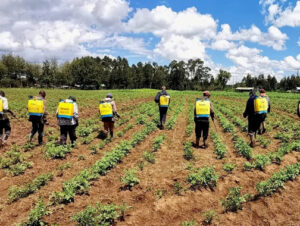 What farmate knapsack sprayer offers for better pesticide application and weed control 1 What farmate knapsack sprayer offers for better pesticide application and weed control