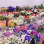 Preserved Flowers Wholesale Singapore