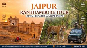 Planning the Best Jaipur and Ranthambore Tour