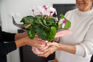A Little Green Goes a Long Way: The Beauty of Plant Gifting 1 A Little Green Goes a Long Way: The Beauty of Plant Gifting