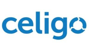 CELIGO Online Training by Real-time Trainer in India