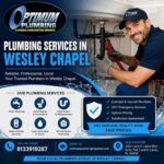 plumbing services in Wesley Chapel