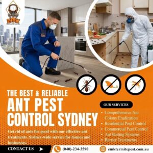 Signs of an Ant Infestation in Your Sydney Home 1 Signs of an Ant Infestation in Your Sydney Home