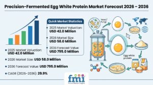 Precision-Fermented Egg White Protein Market Forecast 2026 – 2036: Global Market to Reach USD 795.0 Million by 2036 at 29.9% CAGR 1 Precision-Fermented Egg White Protein Market Forecast 2026 – 2036: Global Market to Reach USD 795.0 Million by 2036 at 29.9% CAGR