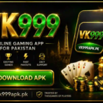 VK999: A Complete Guide to the Modern Digital Platform
