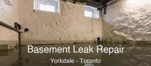 Toronto Basement Leak Repair and Toronto Basement Flooding A Homeowner Guide 1 Toronto Basement Leak Repair and Toronto Basement Flooding A Homeowner Guide