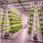 How Vertical Farming Is Redefining the Future of Food Production 3 How Vertical Farming Is Redefining the Future of Food Production