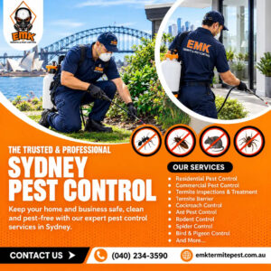 Simple Ways to Reduce Ant Problems Around Sydney Homes 1 Simple Ways to Reduce Ant Problems Around Sydney Homes