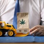What Should You Look for When Using Ottawa Edibles Delivery Services?