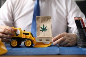 What Should You Look for When Using Ottawa Edibles Delivery Services?