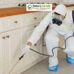 Understanding Spider Activity and General Pest Prevention